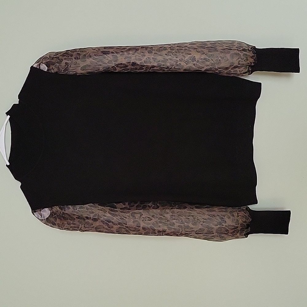 Siani Black Sweater with Sheer sleeves